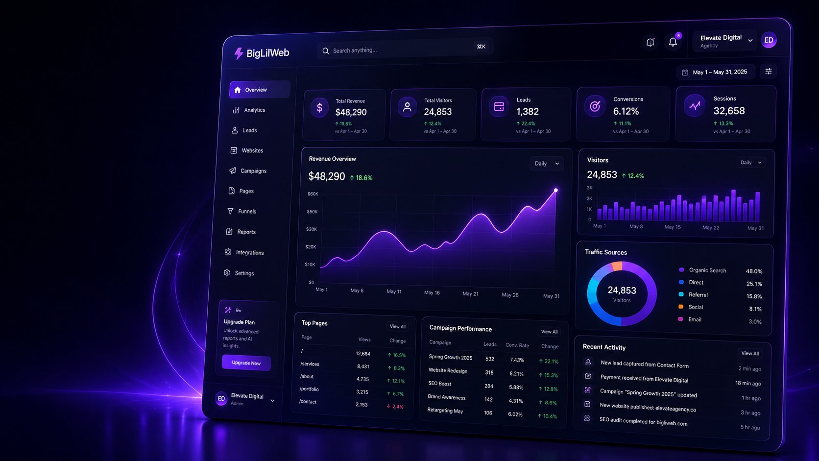 BigLilWeb analytics dashboard showing revenue, visitors, leads and traffic sources